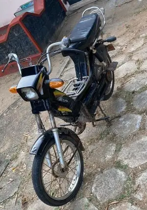 Kinetic 48cc 2010