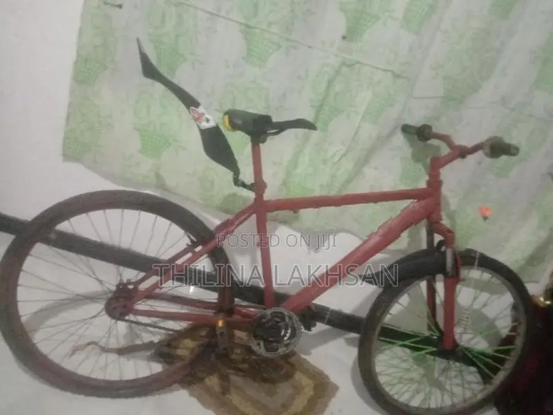 Bicycle