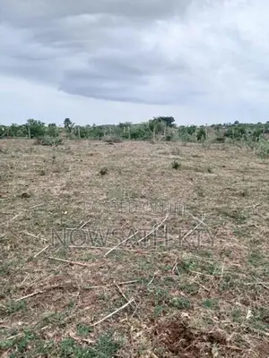 Land for Sale from Wattamadu in Kinniya