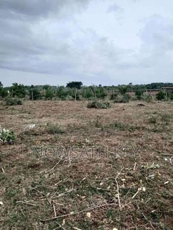 Land for Sale from Wattamadu in Kinniya