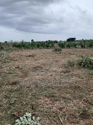 Land for Sale from Wattamadu in Kinniya