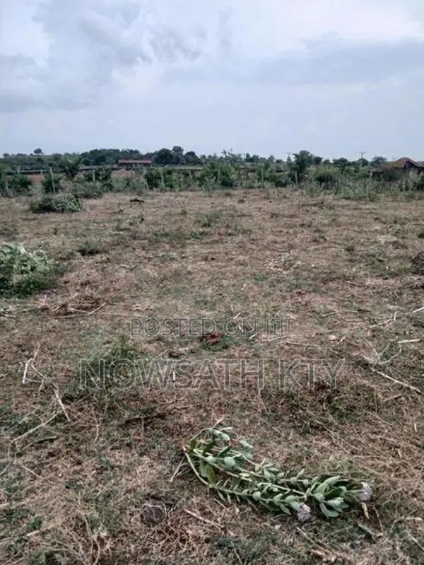 Land for Sale from Wattamadu in Kinniya