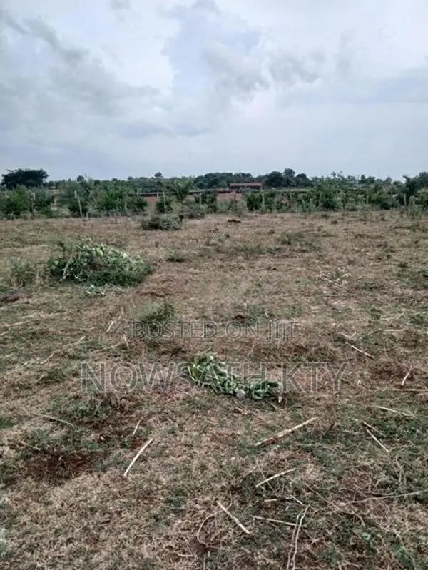 Land for Sale from Wattamadu in Kinniya