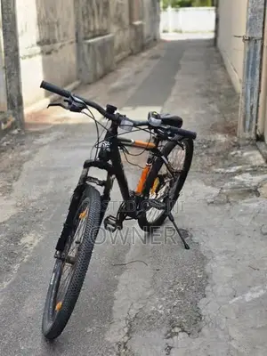 Lumala Triad Bicycle