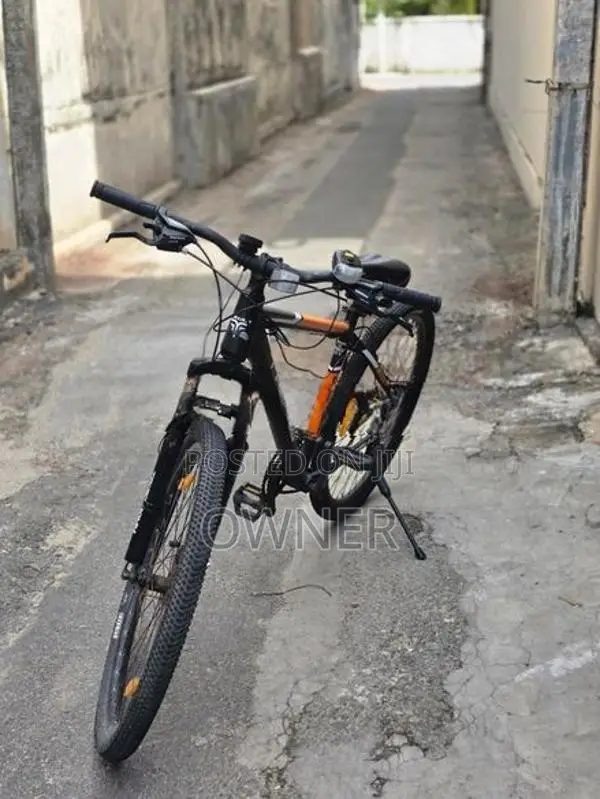 Lumala Triad Bicycle