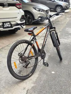 Lumala Triad Bicycle