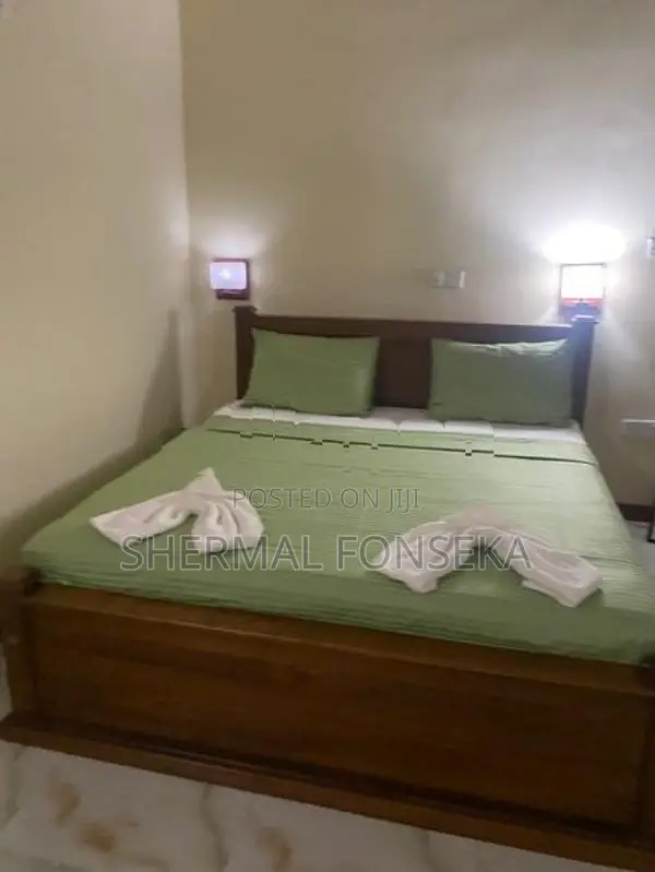 Katunayake Seeduwa Luxury Villa close to airport for sale with furnitu