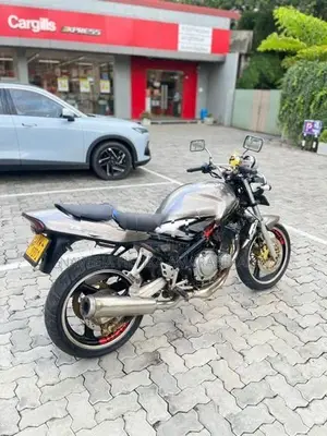 Suzuki Bandit V 2009
