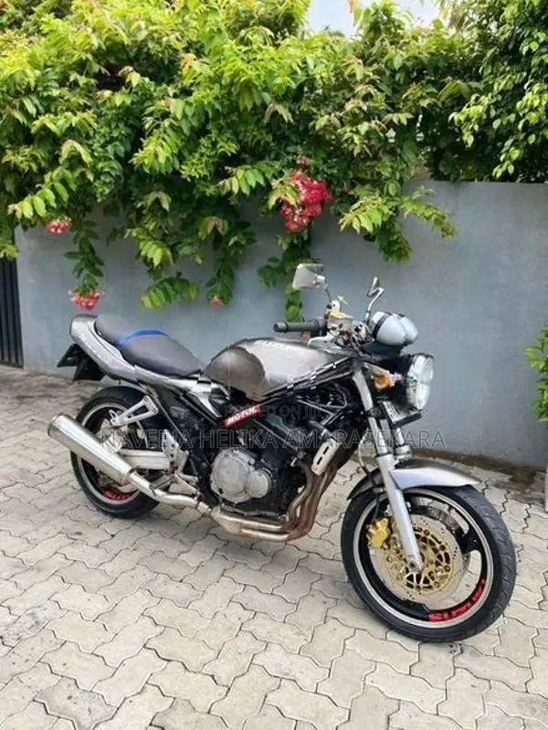 Suzuki Bandit V 2009