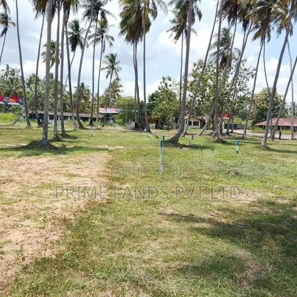 පැල්ලන්දෙණිය හන්දියෙන්ම ඉඩම්