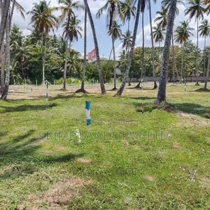 පැල්ලන්දෙණිය හන්දියෙන්ම ඉඩම්