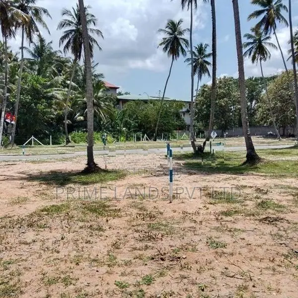 පැල්ලන්දෙණිය හන්දියෙන්ම ඉඩම්