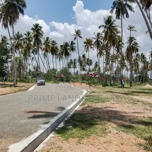 පැල්ලන්දෙණිය හන්දියෙන්ම ඉඩම්