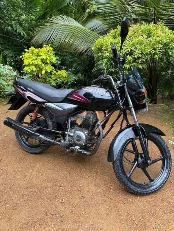 Bajaj Platina 100 2015