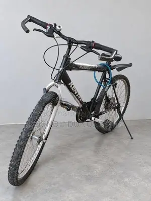 Kenton Warrior Max Mountain Bicycle