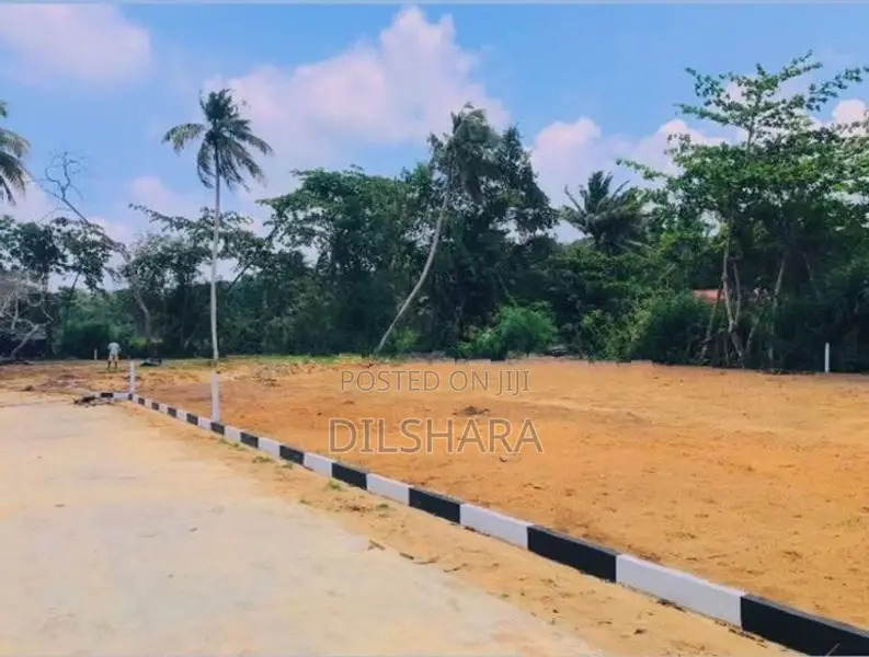 Dikwella property