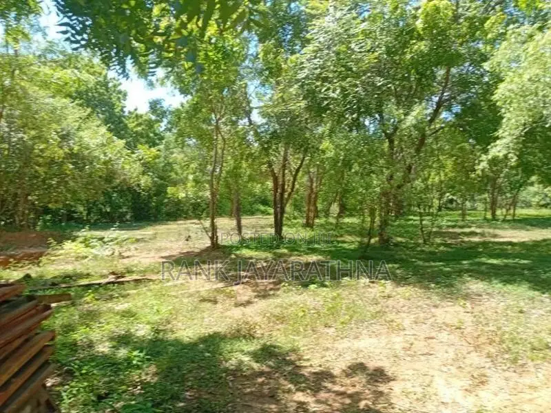Tourism Land for Sale near Rekawa Beach