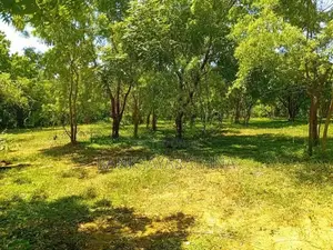 Tourism Land for Sale near Rekawa Beach