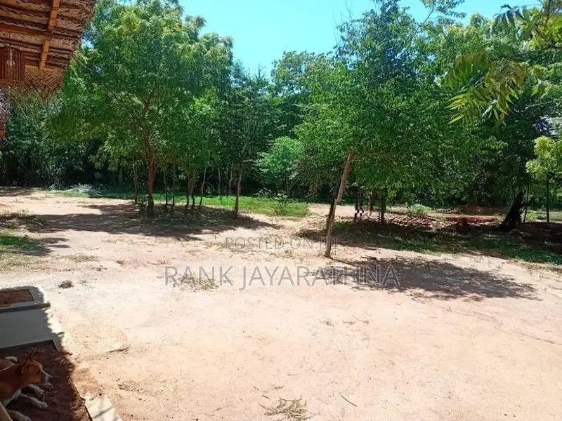 Tourism Land for Sale near Rekawa Beach