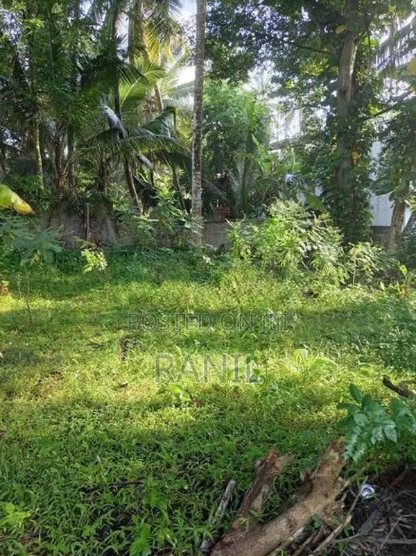 Land For Sale Meegoda