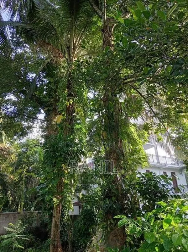 Land For Sale Meegoda
