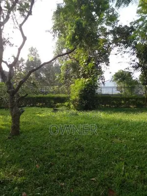 Land for Sale in Boralesgamuwa