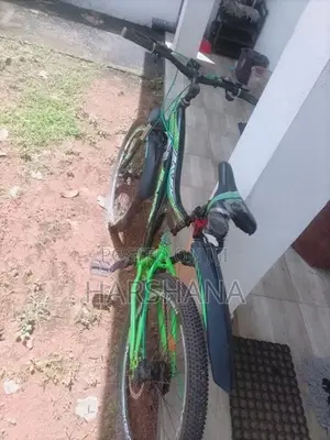 Kenton Bicycle