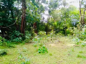Land for Sale - Habarana