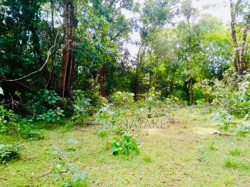 Land for Sale - Habarana