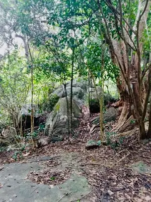 Land for Sale - Habarana