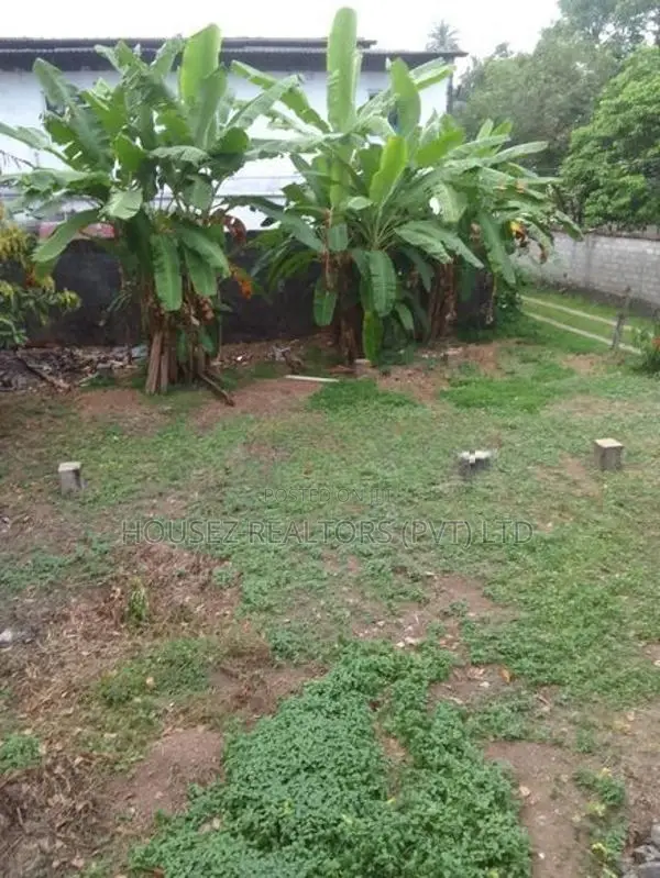 Prime Commercial Land for Rent – Gonawala Junction
