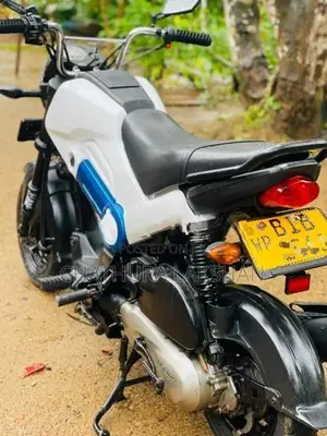 Honda Navi 2019