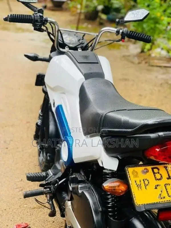Honda Navi 2019