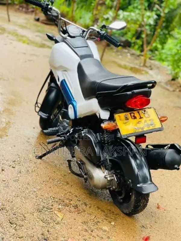 Honda Navi 2019