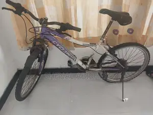 Mountain Bicycle