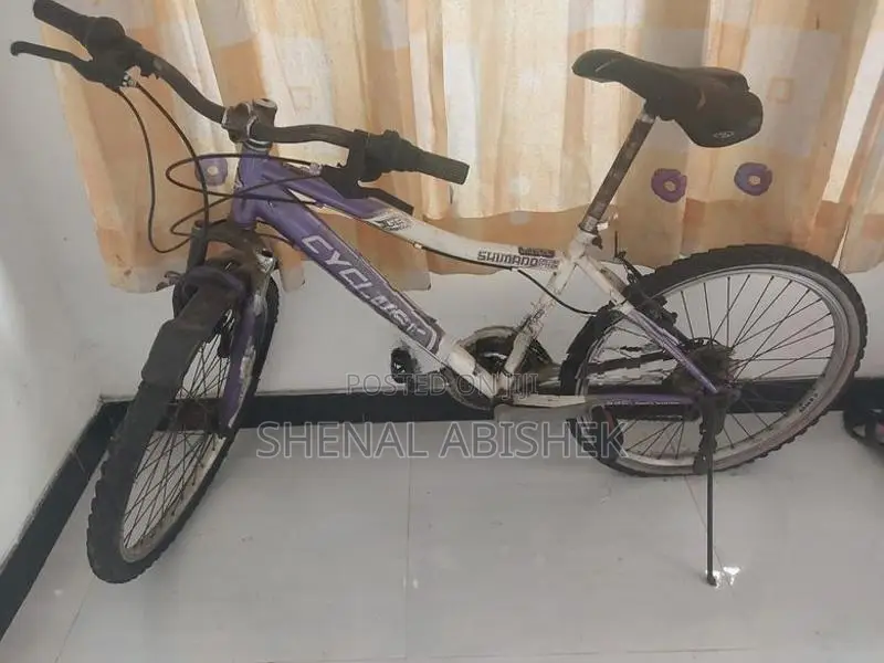 Mountain Bicycle