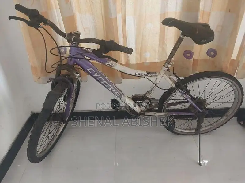Mountain Bicycle