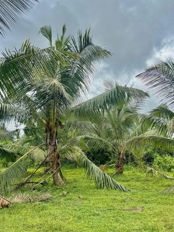 හොරණ පෝරුවදණ්ඩෙන් පොල් ගස් 90ක් එක්ක අක්කරයකට වැඩි ඉඩමක්
