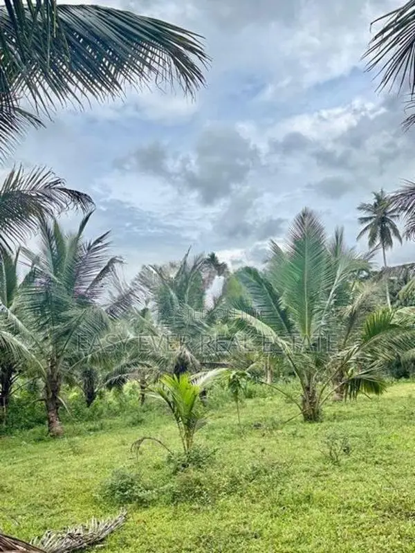 හොරණ පෝරුවදණ්ඩෙන් පොල් ගස් 90ක් එක්ක අක්කරයකට වැඩි ඉඩමක්