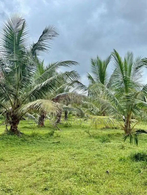 හොරණ පෝරුවදණ්ඩෙන් පොල් ගස් 90ක් එක්ක අක්කරයකට වැඩි ඉඩමක්