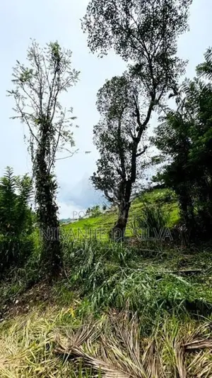 අඩක් නිම කල නිවස සමග ඉඩම - බදුල්ල