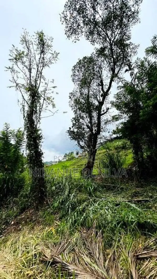 අඩක් නිම කල නිවස සමග ඉඩම - බදුල්ල