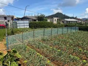 Land for Sale in Nuwara Eliya