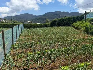 Land for Sale in Nuwara Eliya
