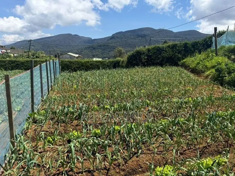 Land for Sale in Nuwara Eliya