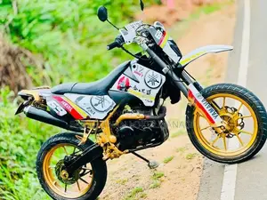 Demak DTM 2017