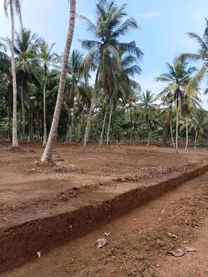 කුරුණෑගල නුවර පාර ආසන්නයේ ඉඩමක් විකිණීමට