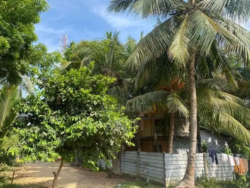 House With Land In Jaffna