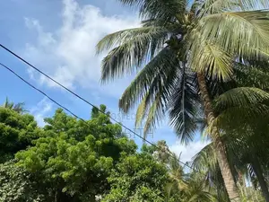 House With Land In Jaffna