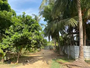 House With Land In Jaffna
